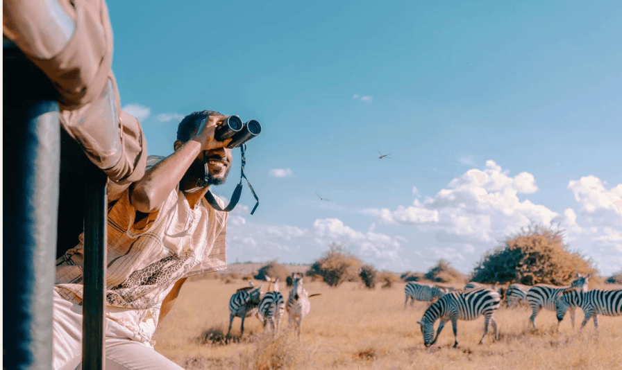 Safari experience with zebras